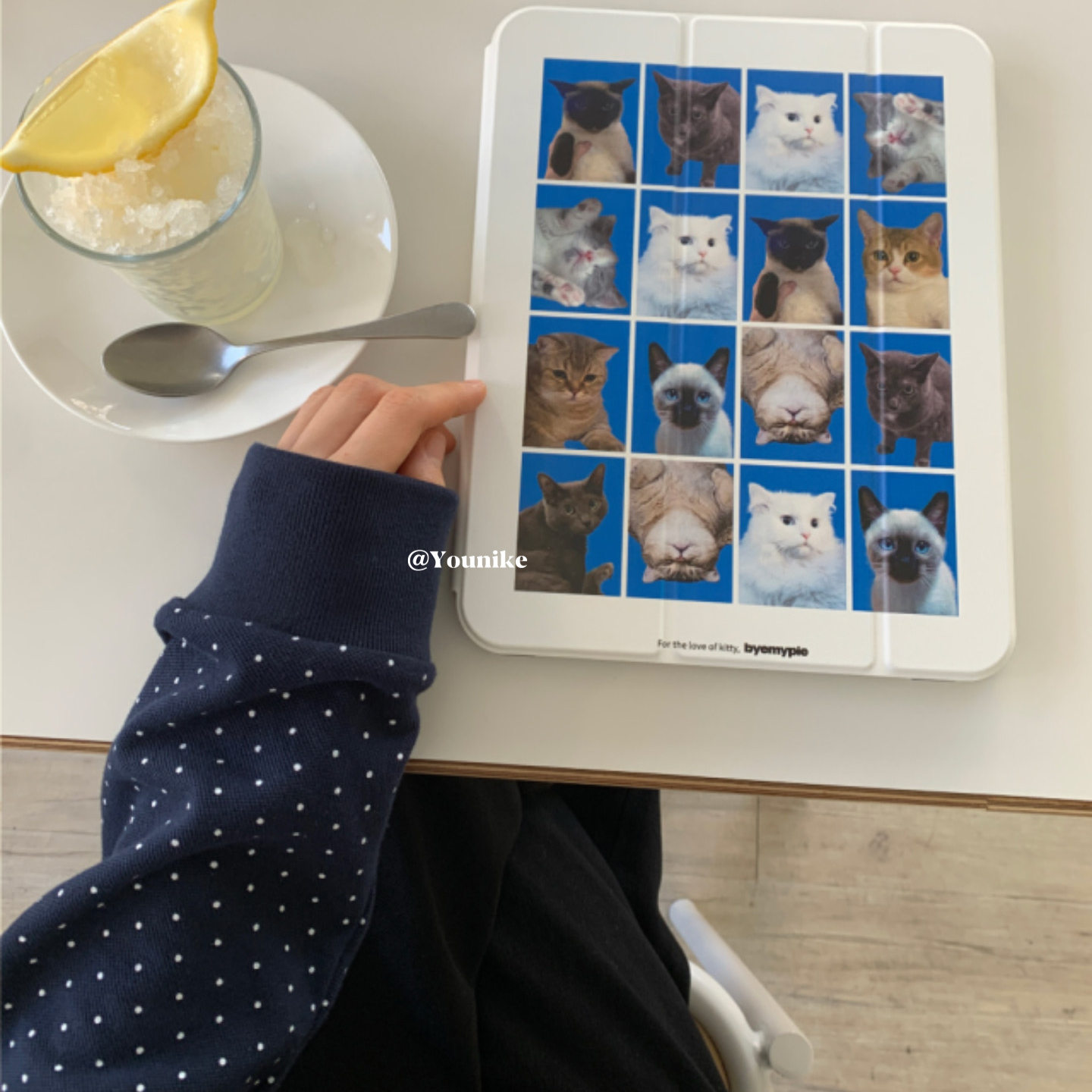 Photography Grid - Korean Ins Cat Head Photo Full