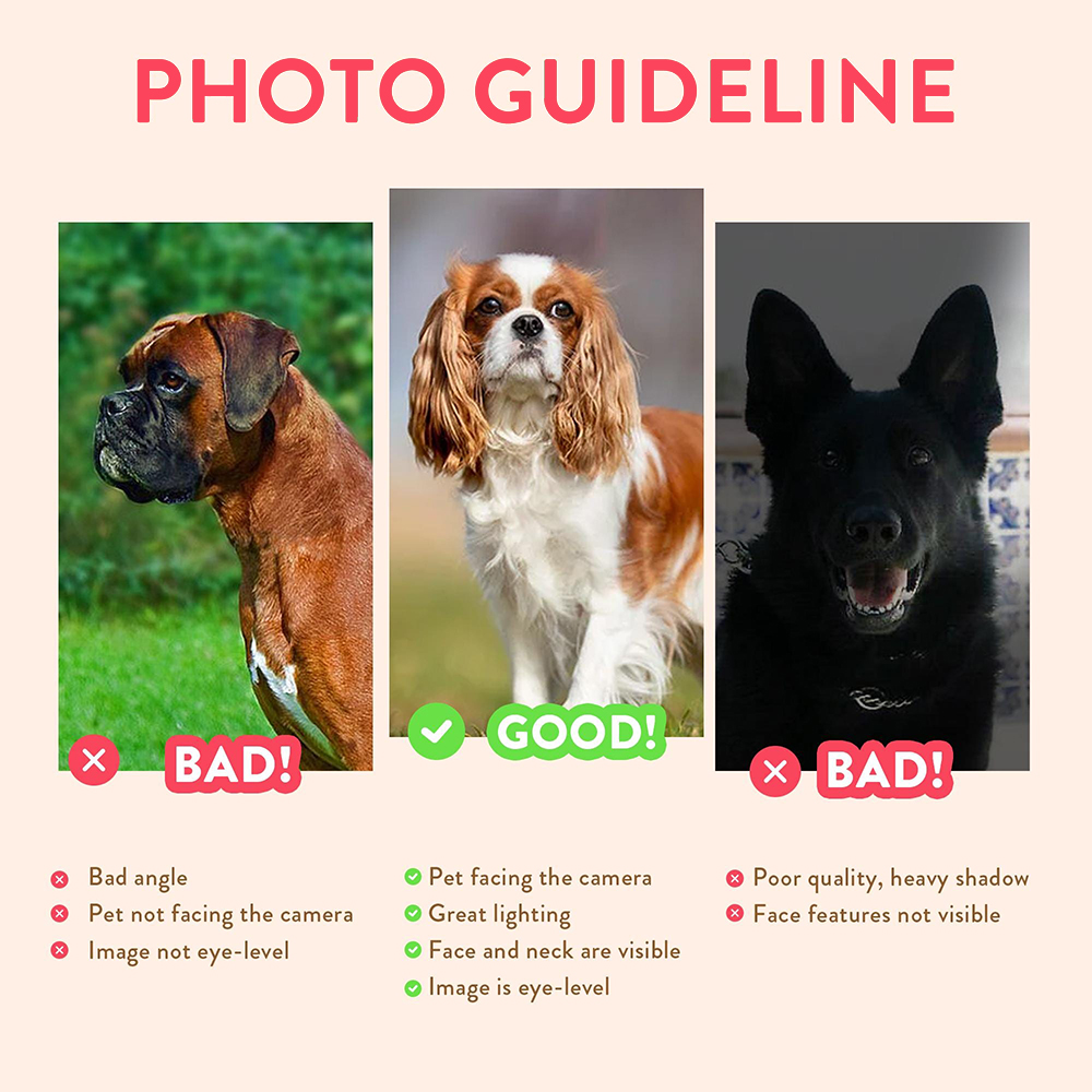 Personalized Pet Portraits Pho - Photography Poster 评论和价格