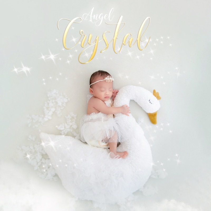 Newborn Photography Prop Swan  - Photography Outfits 评论和价格