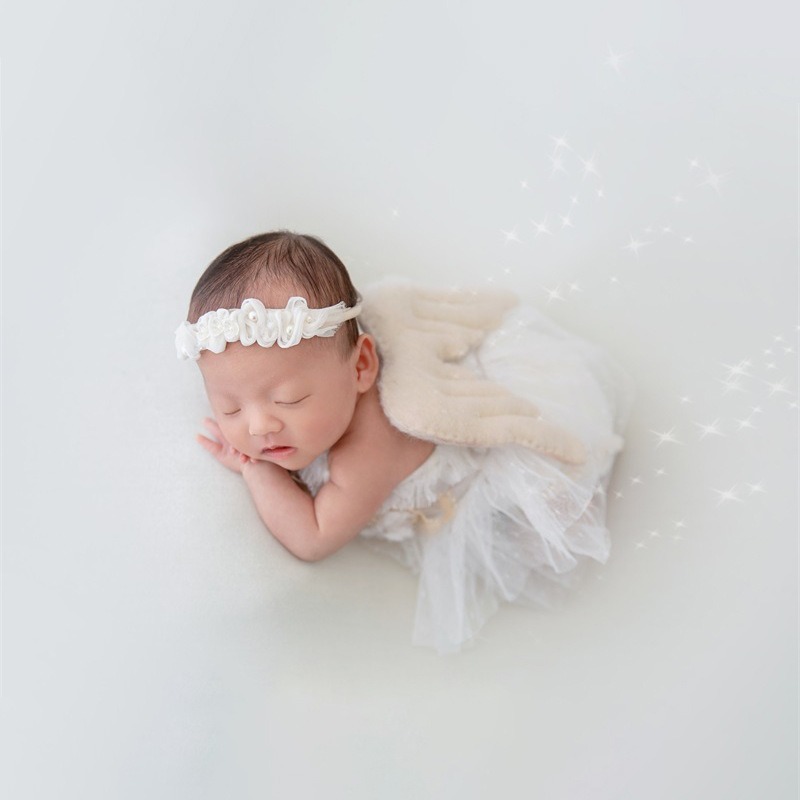 Newborn Photography Prop Swan  - Photography Outfits 评论和价格