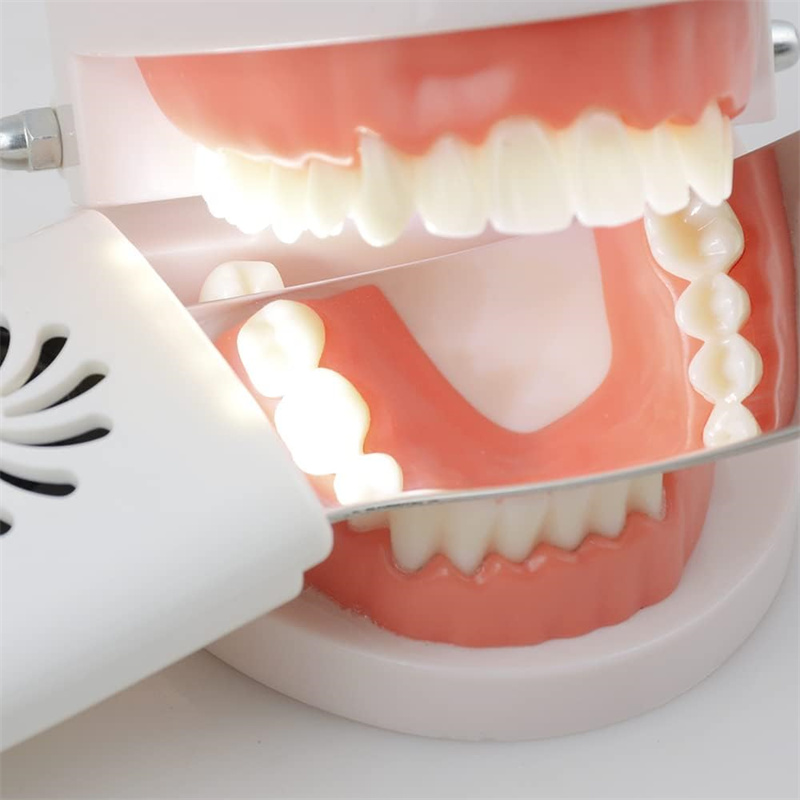 Dental Anti-Fog Mirrors With L - Photography Yellow 评论和价格
