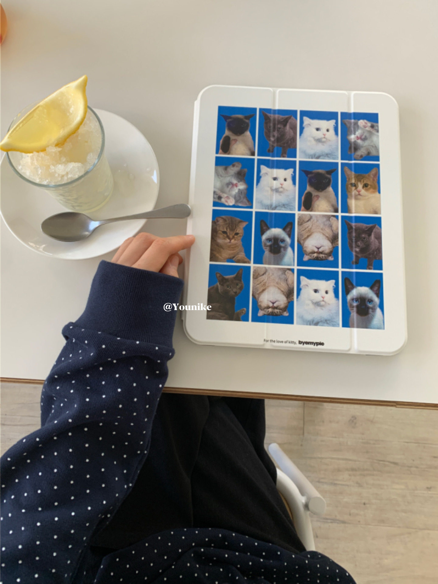 Korean Ins Cat Head Photo Full - Photography Grid 评论和价格