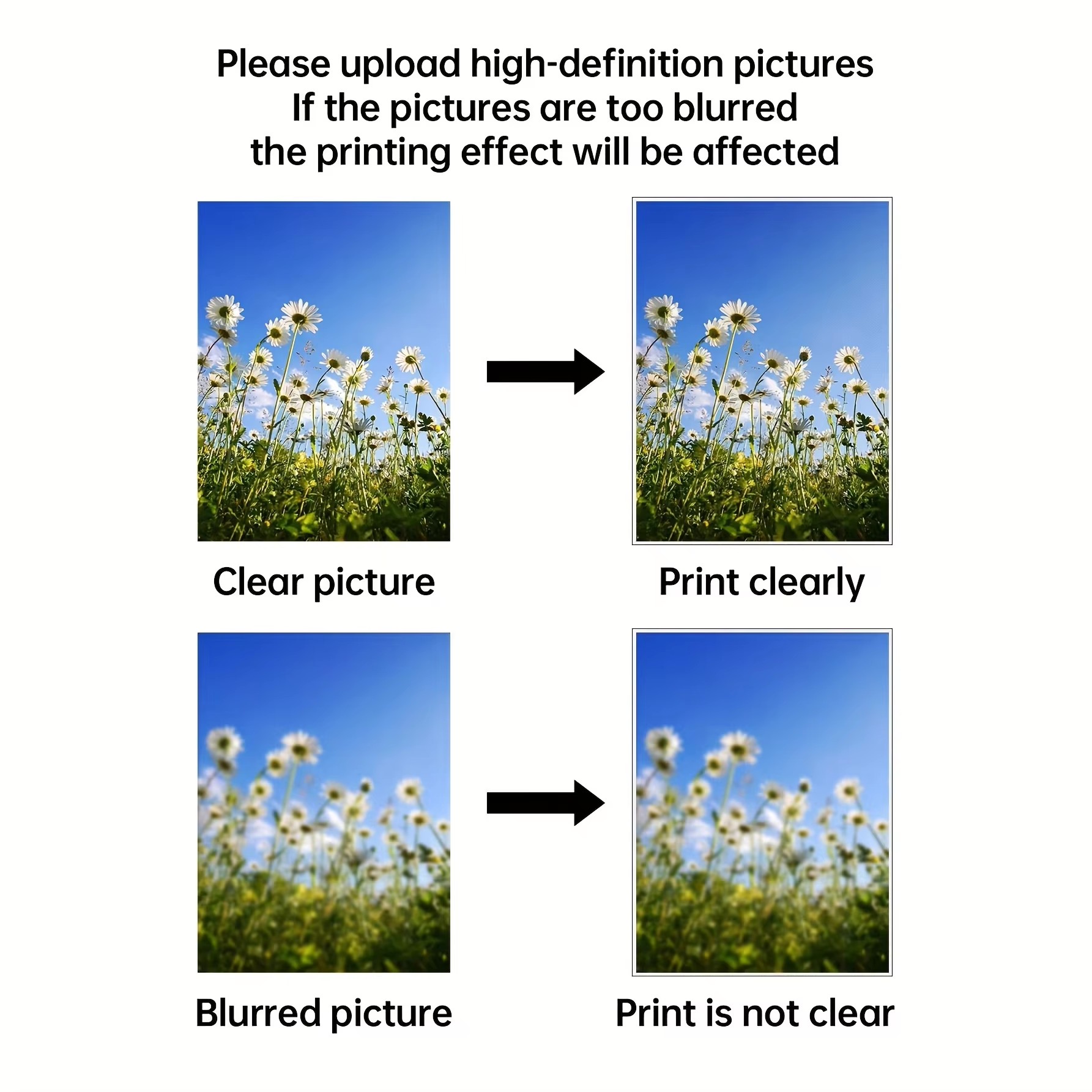 Custom Print Canvas Painting F - Photography Poster 评论和价格